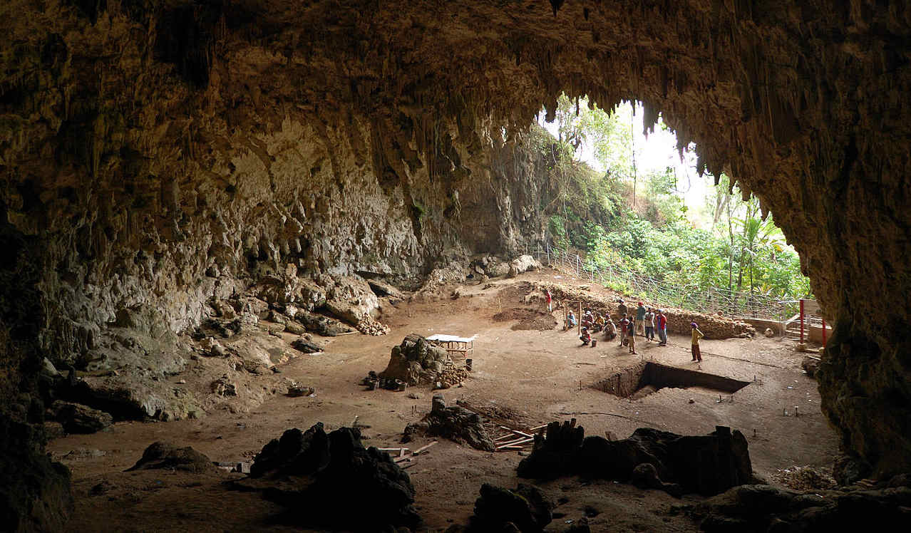 floresiensis.jpg