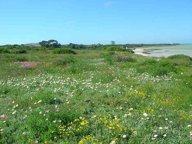 namaqualand.jpg