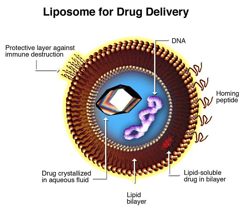 drugDelivery.jpg