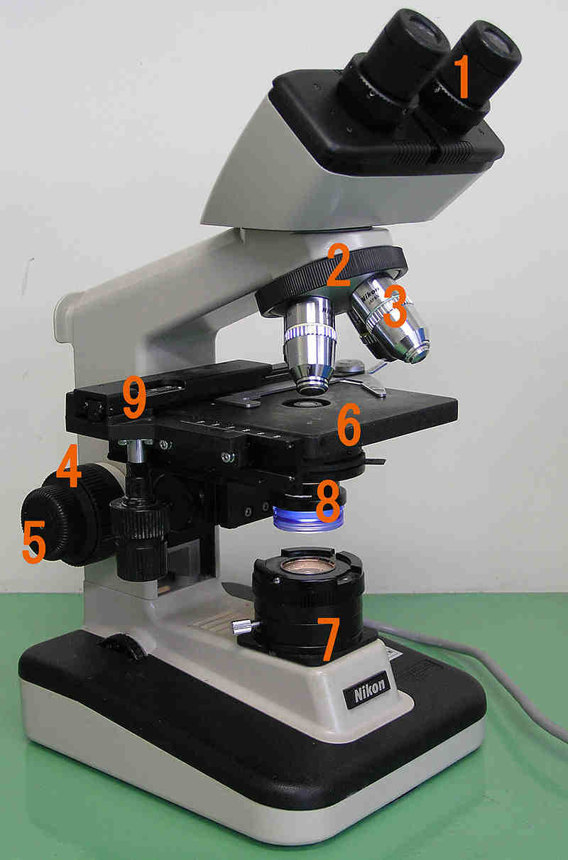 microscope.jpg