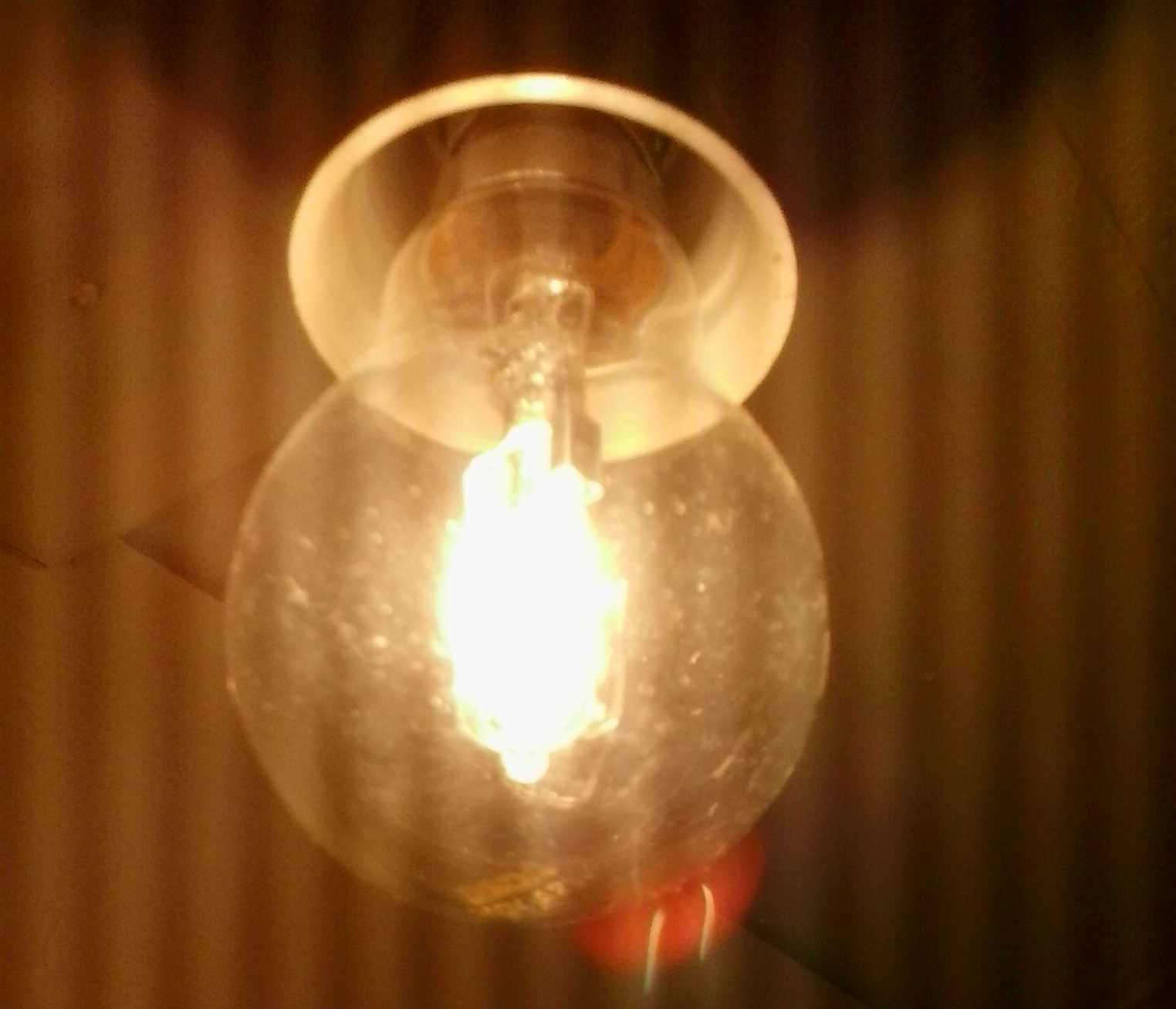 bulb.jpg