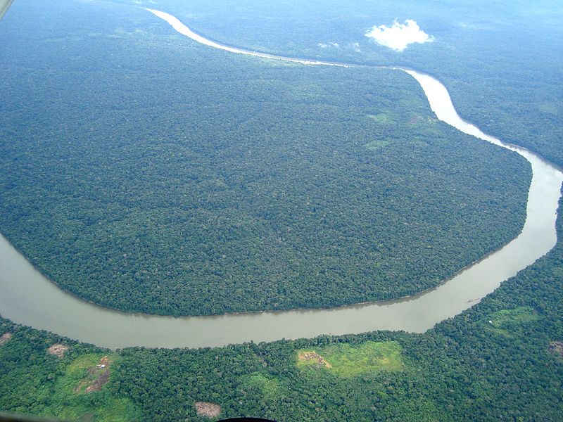 amazonForest.jpg