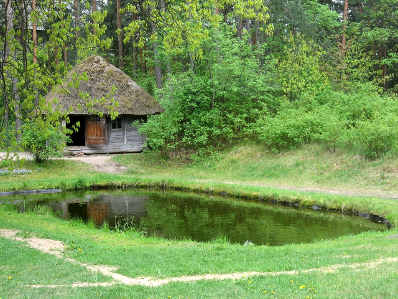 sauna.jpg