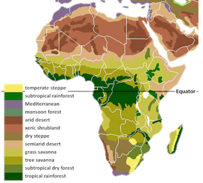 AfricaVegetation.jpg
