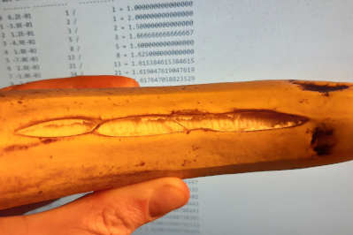 bananaOverripe.jpg