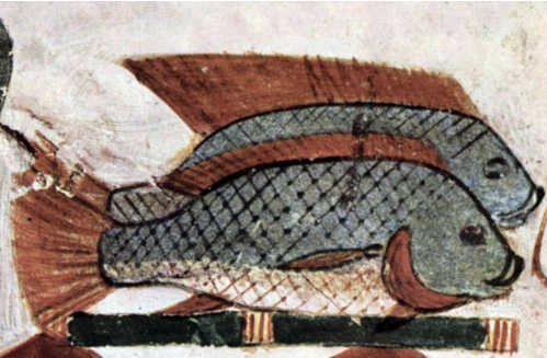 egyptianFish.jpg