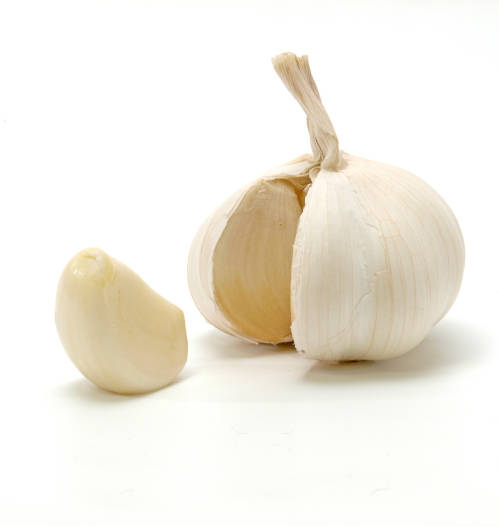 garlic.jpg