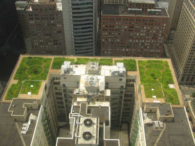 greenRoof.jpg