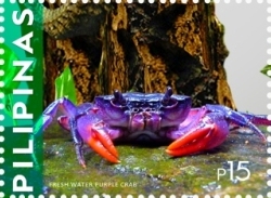 purpleCrab.jpg