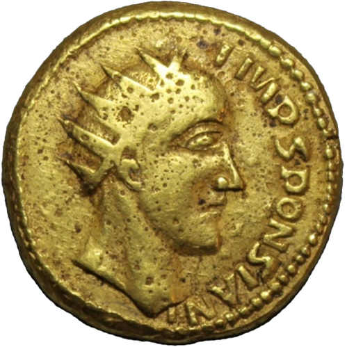 sponsianus.jpg